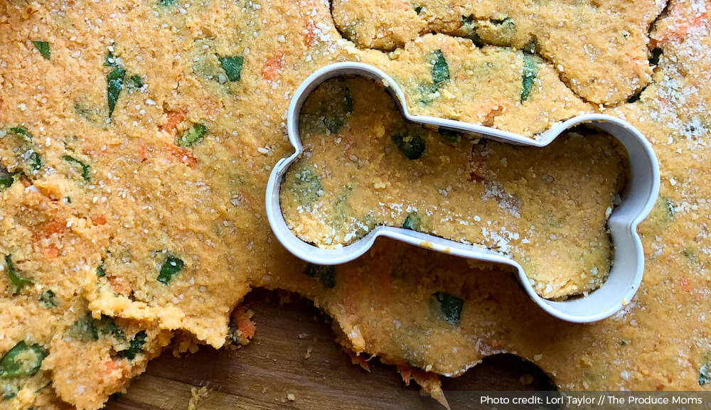 6 Simple and Delicious Homemade Dog Treat Recipes